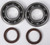 Crankshaft Bearing & Seal Kit Hus/Husq/Ktm Crankshaft Bearing & Seal Kit Hus/Husq/Ktm