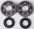 Crankshaft Bearing & Seal Kit Ktm 23.CBS61097