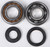 Crankshaft Bearing & Seal Kit Husq/Ktm 23.CBS61003 Crankshaft Bearing & Seal Kit Husq/Ktm 23.CBS61003
