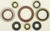 Oil Seal Set 822356