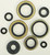 Oil Seal Set 822296