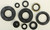 Oil Seal Set 822292