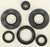 Oil Seal Set 822290