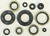 Oil Seal Set 822288
