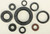 Oil Seal Set 822268