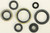 Oil Seal Set 822267