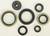 Oil Seal Set 822266