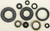 Oil Seal Set 822257