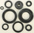Oil Seal Set 822221