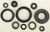 Oil Seal Set 822183