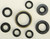 Oil Seal Set 822175
