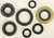 Oil Seal Set 822160