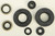 Oil Seal Set 822135