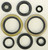 Oil Seal Set 822132