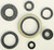 Oil Seal Set 822126