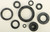 Oil Seal Set 822117
