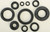Oil Seal Set 822114