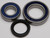 Chain Case Bearing & Seal Kit 14-1044