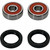 Wheel Bearing Kit Premium 25-1300-P