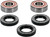Wheel Bearing Kit Premium 25-1035-P