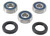 All Balls Racing 17-23 Honda CMX300 Wheel Bearing Kit Rear