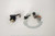 Ricks Motorsport Brush Plate Repair Kit 70-506