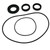 All Balls Racing 00-02 Polaris Magnum 325 4x4 Differential Seal Only Kit Front