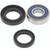 QuadBoss 07-14 CFMOTO CForce 500 Lower Steering Bearing Kit