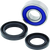 QuadBoss 06-09 Arctic Cat 250 2x4 Lower Steering Bearing Kit