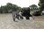 QuadBoss Folding Arch UTV Ramp 18X88 Pair