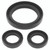 QuadBoss 04-06 Yamaha YFM350 Bruin 4x4 Front Differential Seal Kit