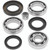 QuadBoss 85-87 Honda ATC250ES/SX Rear Differential Bearing & Seal Kit