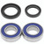 QuadBoss 88-02 Kawasaki KLF220 Bayou Rear ATV Wheel Bearing & Seal Kit