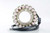 Ricks Motorsport New OEM Style Honda Stator 21-148