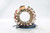 Ricks Motorsport New OEM Style Honda Stator 21-135