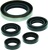 QuadBoss 06-07 Polaris Outlaw 500 Oil Seal Set
