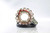 Ricks Motorsport Kawasaki Stator 21-234