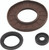 Vertex Pistons 16-18 Expedition 800 2-Stroke E-TEC Engine Oil Seal Kit