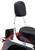 Standard Sissy Bar Chrome Flst 00 06