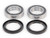 EPI 85-02 Polaris 250-500 Rear Wheel Bearing Kit