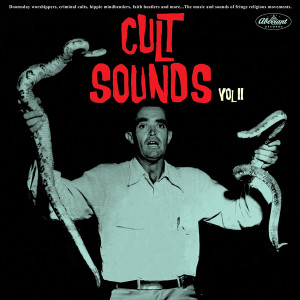 V/A: Cult Sounds Vol. 2 LP V/A: Cult Sounds Vol. 2 LP