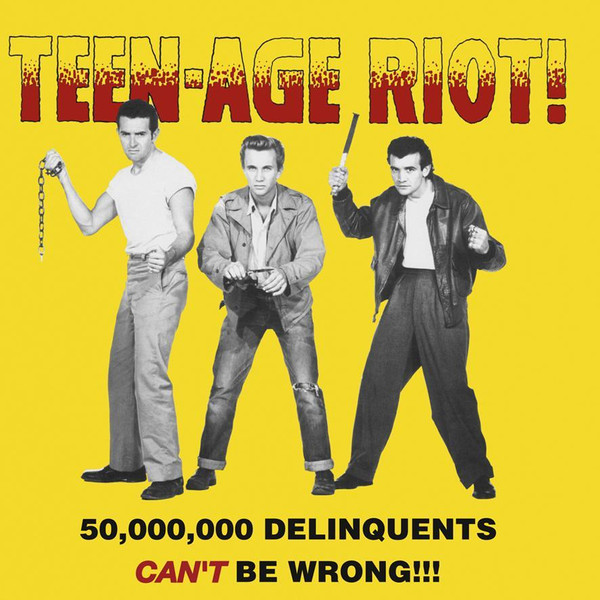 V/A: Teen-Age Riot! - 50,000,000 Delinquents Can't Be Wrong!!! LP