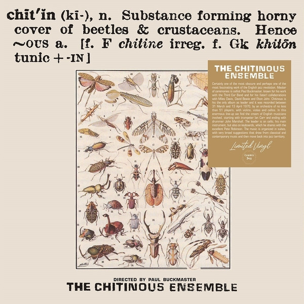 THE CHITINOUS ENSEMBLE: Chitinous LP