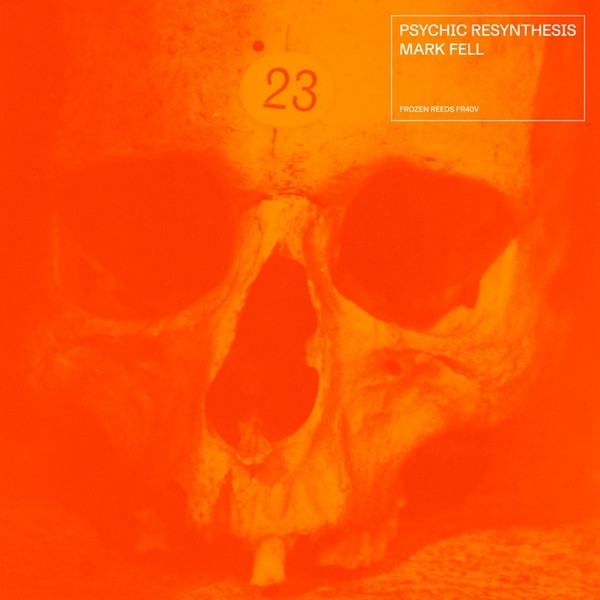 MARK FELL: Psychic Resynthesis 2LP