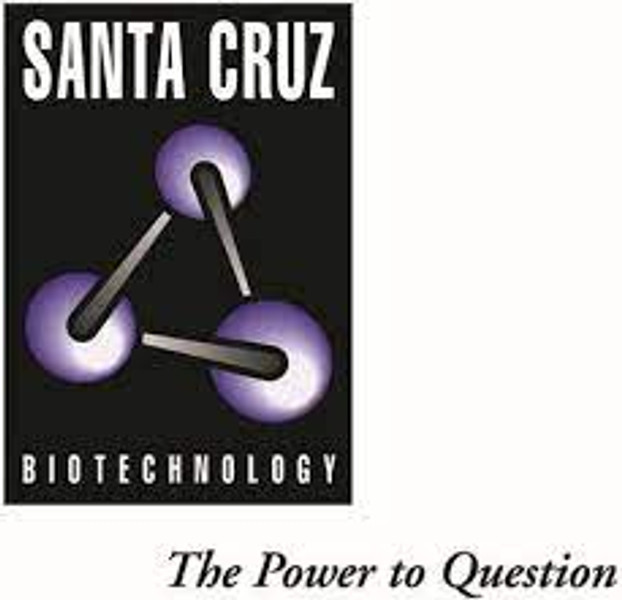 Santa Cruz Santa Cruz