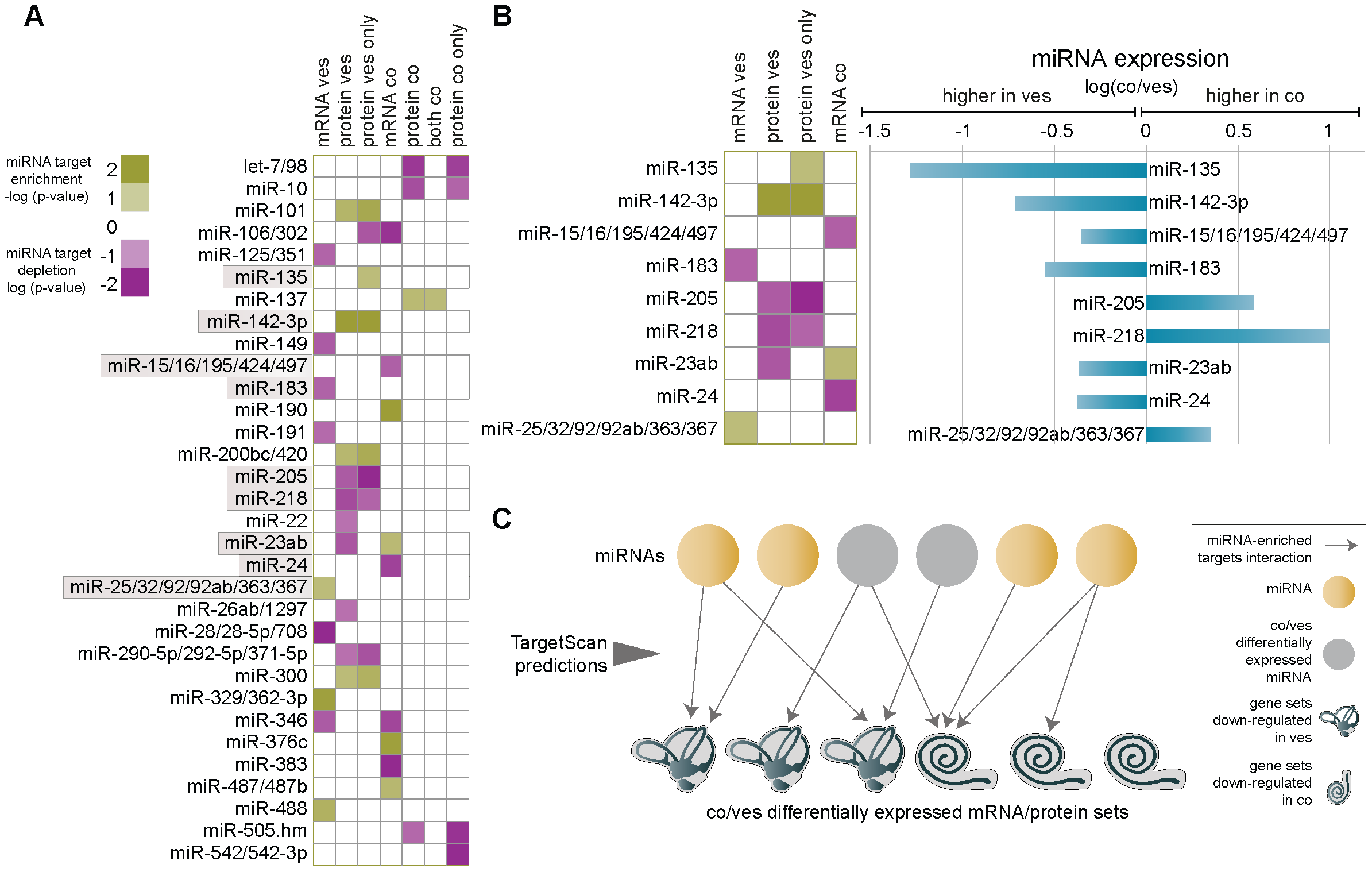 proteomics-mir-biotech.png