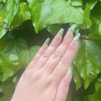 Press On Nails - Nude/Green Ombre with accent nails