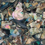 Small Paua Chips - Bag Small Paua Chips - Bag