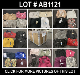 64 Unit Lot (SKU#: AB1121) Anne Klein, Cable and Gauge, Rachel Zoe, Calvin Klein, DKNY and more