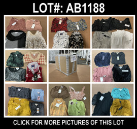 64 Unit Lot (SKU#: AB1188) DR2, Rachel Zoe, Michael Kors, Eclair, Express and more